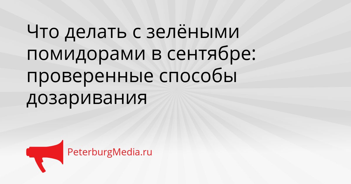 Что делать с зелёными помидорами в сентябре: проверенные способы дозаривания