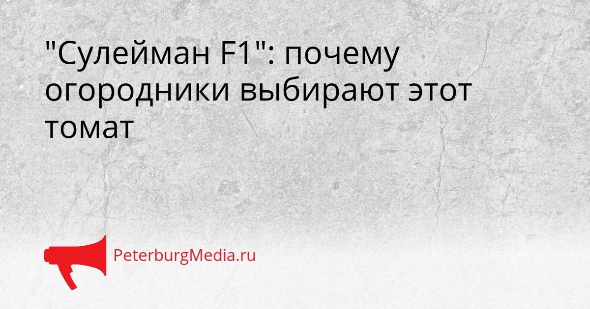 "Сулейман F1": почему огородники выбирают этот томат