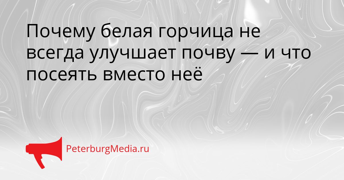 Почему белая горчица не всегда улучшает почву — и что посеять вместо неё