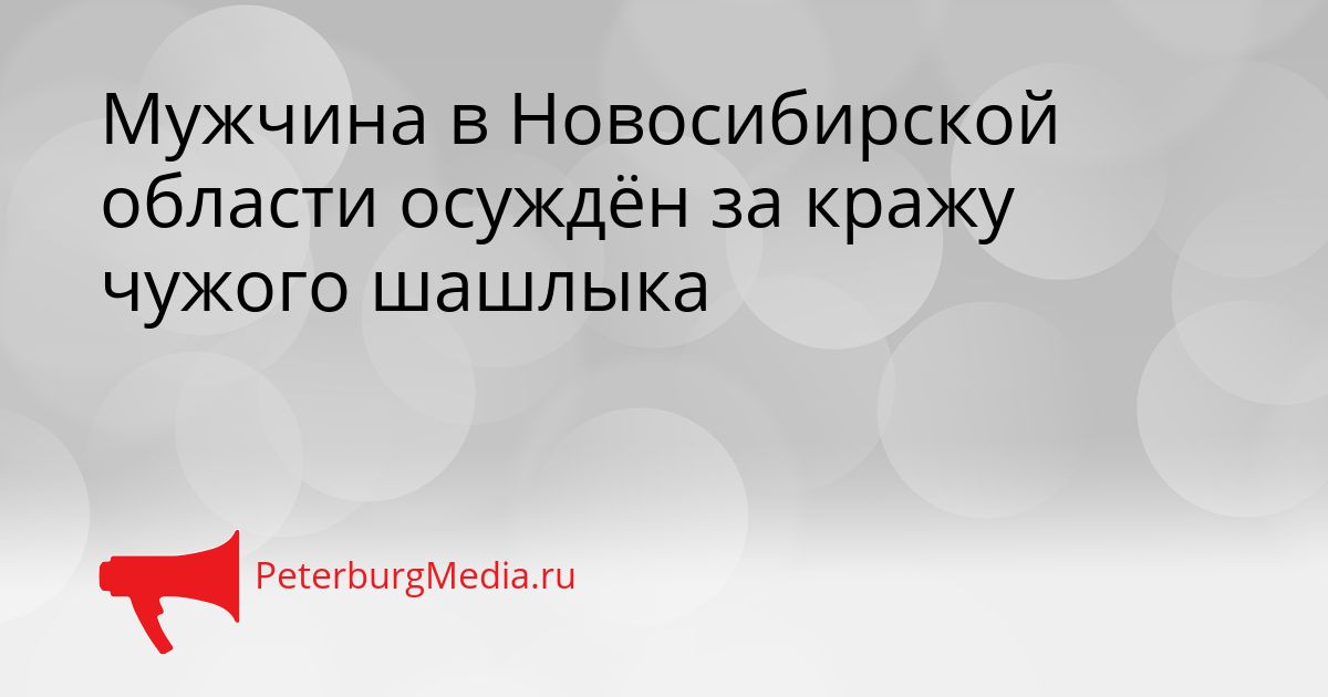 Мужчина в Новосибирской области осуждён за кражу чужого шашлыка