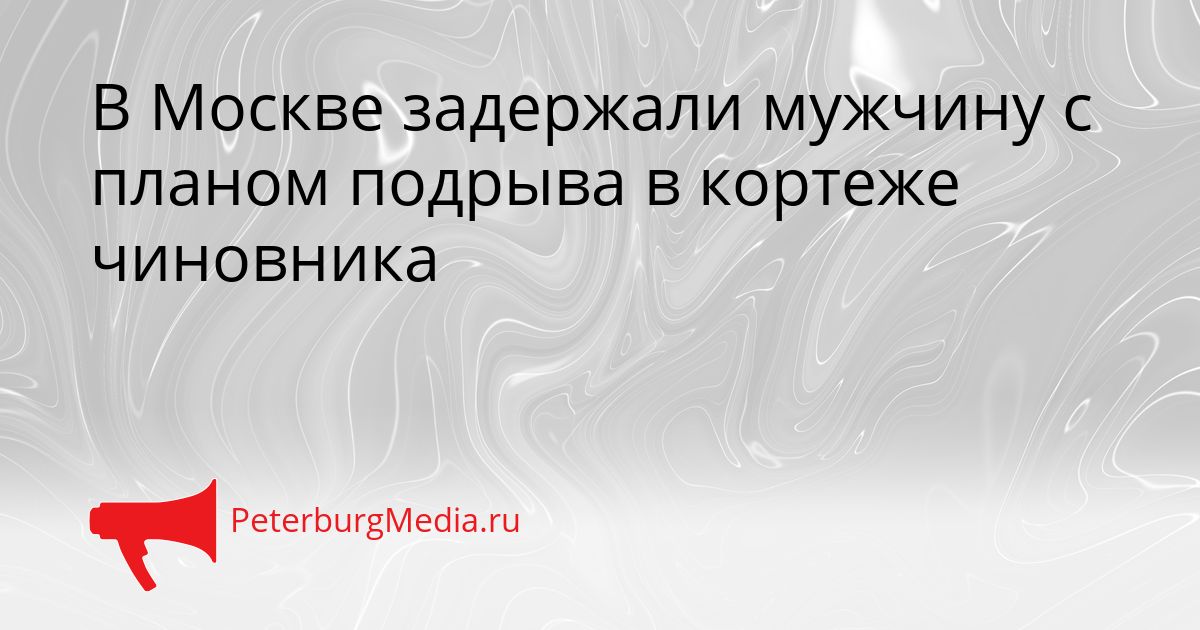 В Москве задержали мужчину с планом подрыва в кортеже чиновника