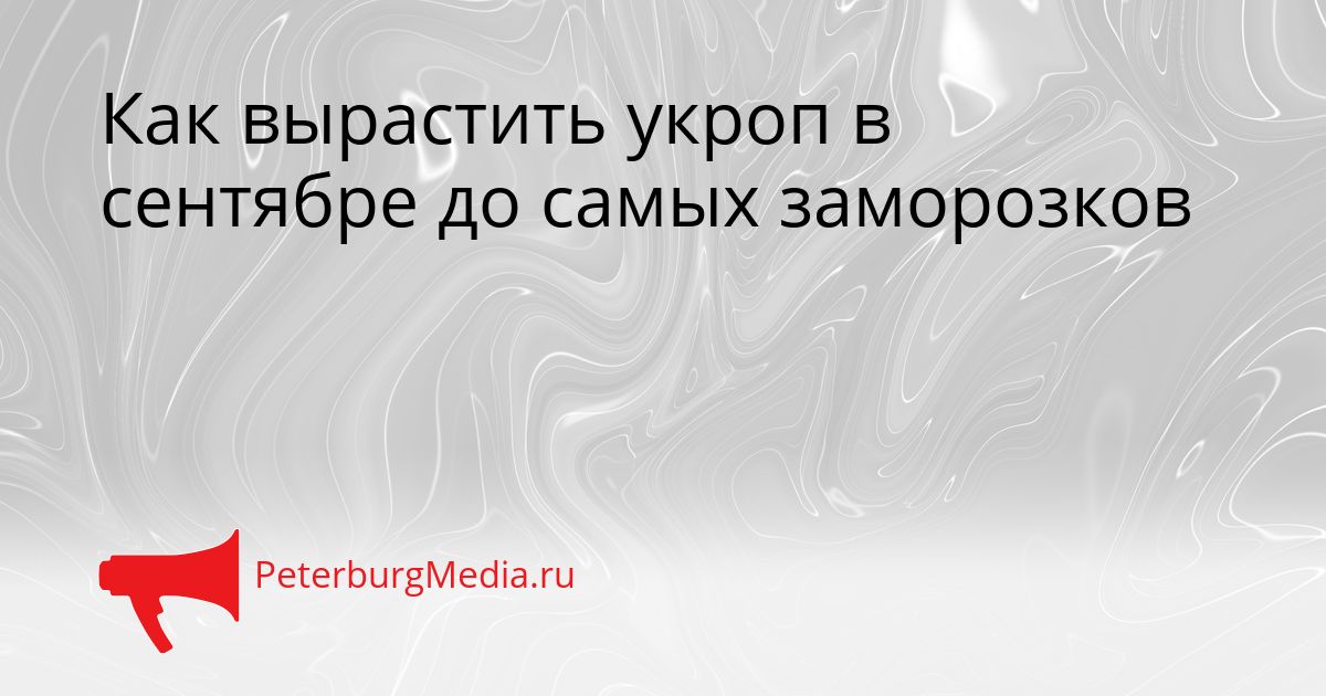Как вырастить укроп в сентябре до самых заморозков