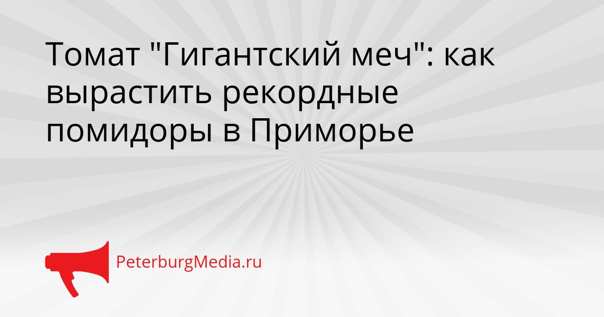 Томат "Гигантский меч": как вырастить рекордные помидоры в Приморье