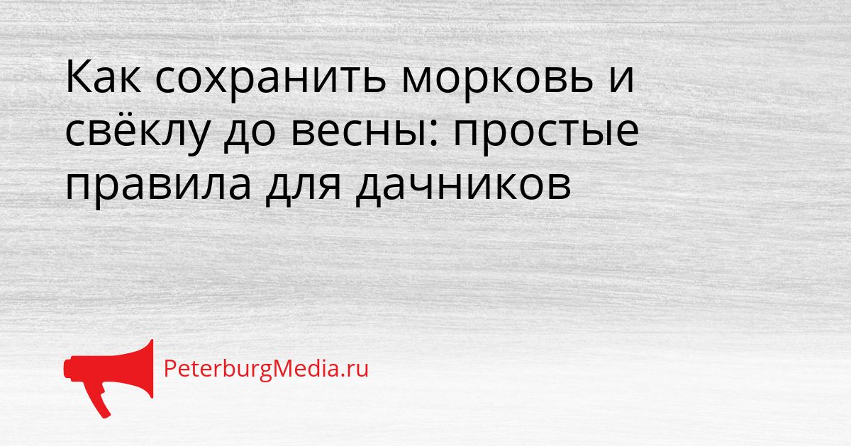 Как сохранить морковь и свёклу до весны: простые правила для дачников
