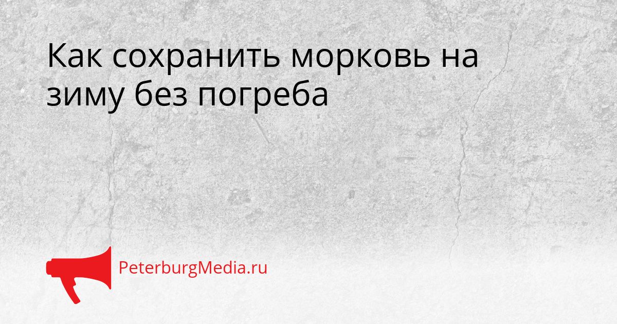 Как сохранить морковь на зиму без погреба