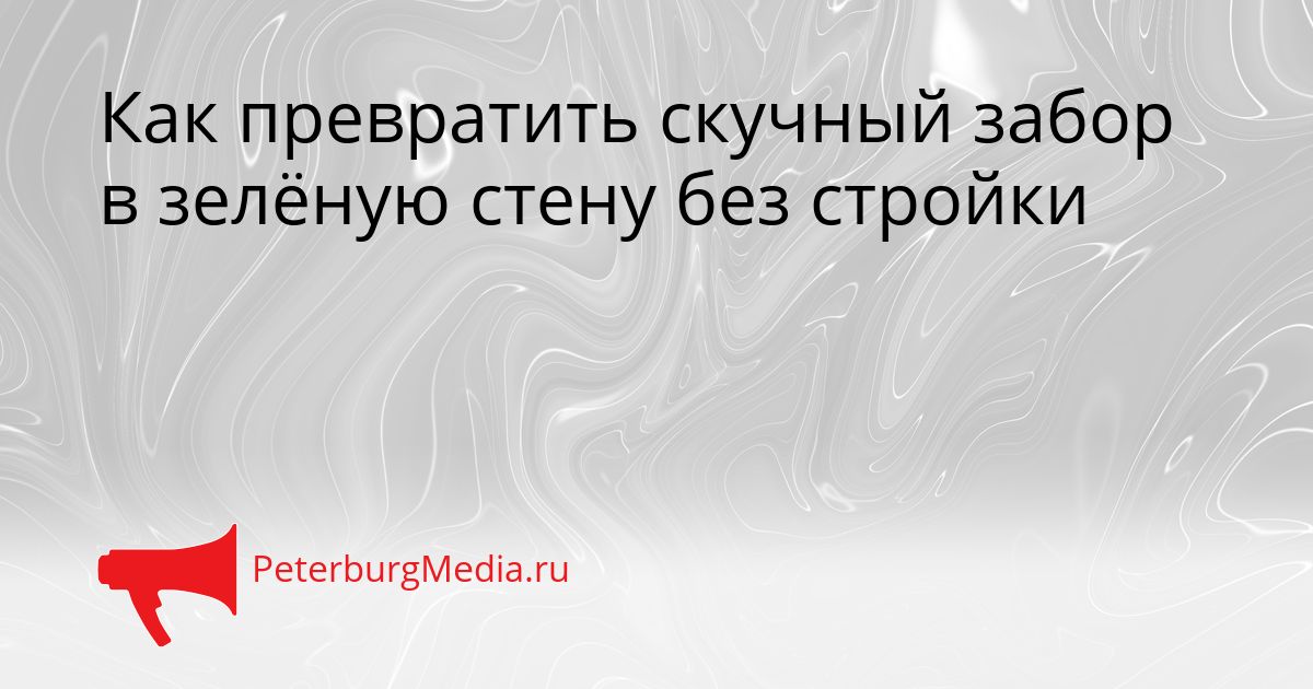 Как превратить скучный забор в зелёную стену без стройки