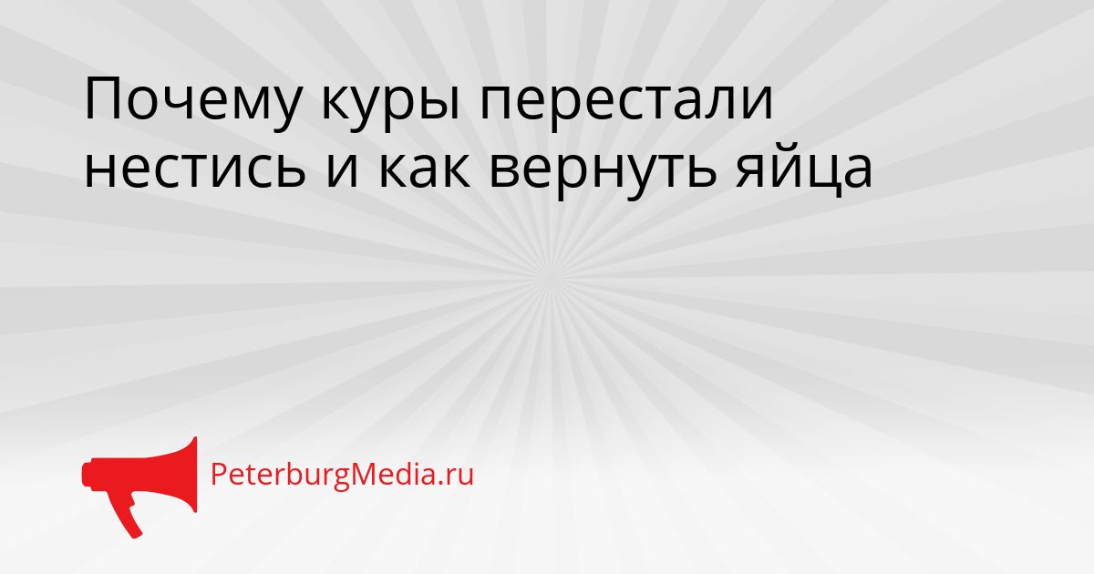 Почему куры перестали нестись и как вернуть яйца