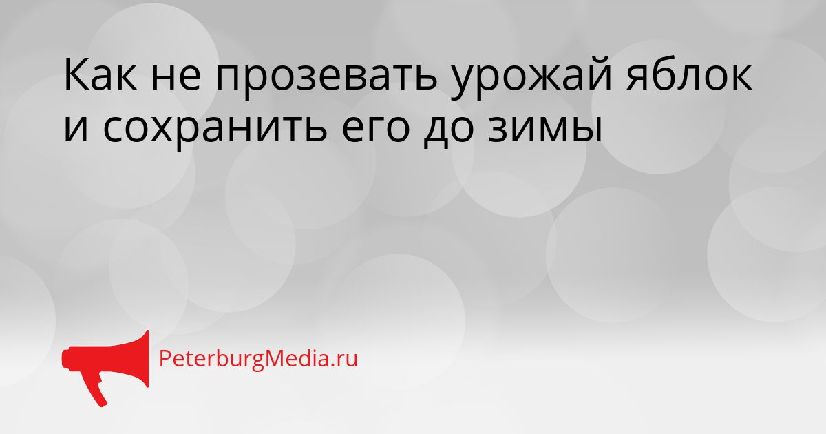 Как не прозевать урожай яблок и сохранить его до зимы