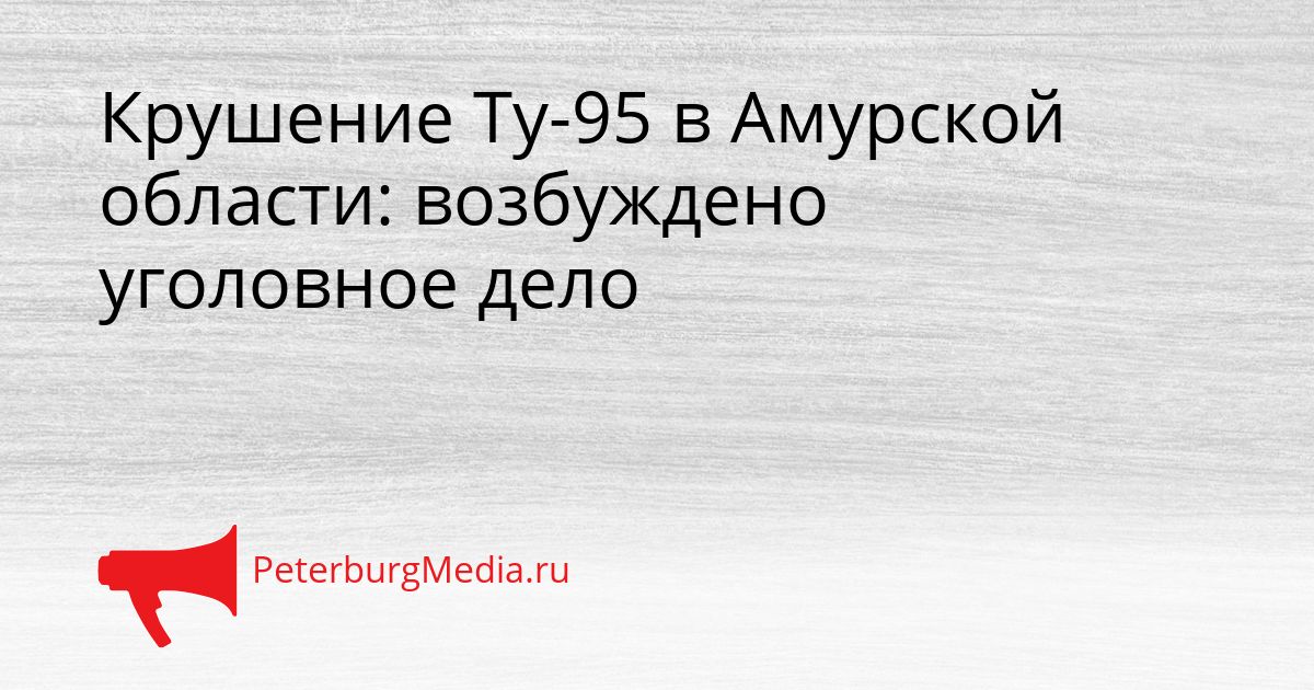 Крушение Ту-95 в Амурской области: возбуждено уголовное дело