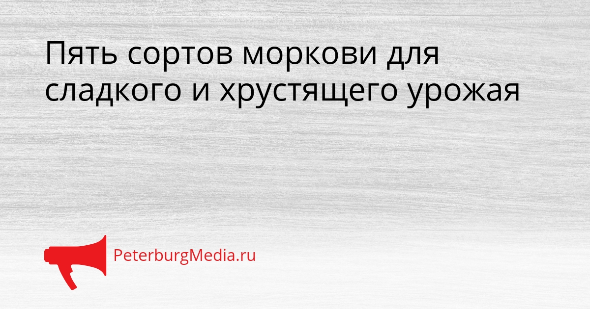 Пять сортов моркови для сладкого и хрустящего урожая Сгенерировано