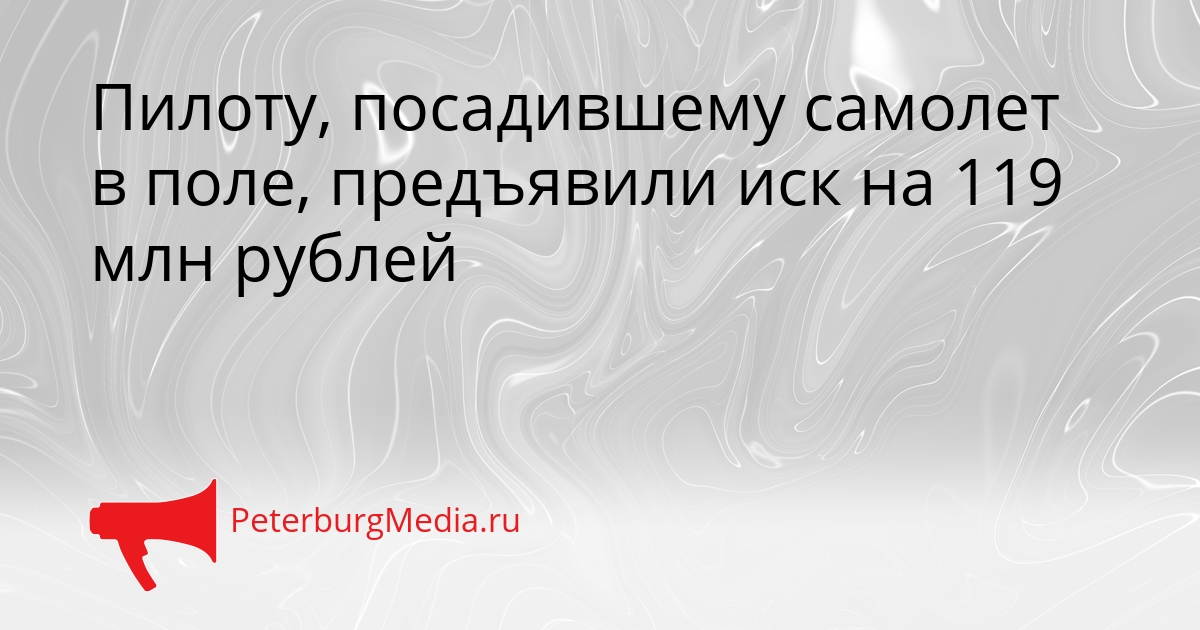 Пилоту, посадившему самолет в поле, предъявили иск на 119 млн рублей Сгенерировано