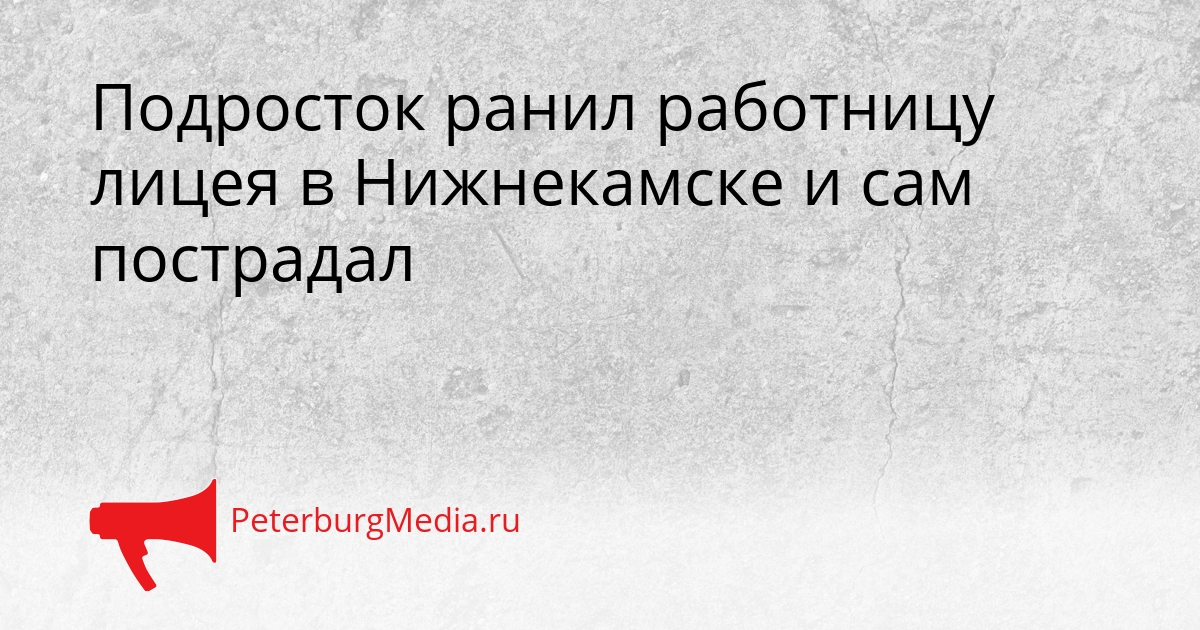 Подросток ранил работницу лицея в Нижнекамске и сам пострадал Сгенерировано
