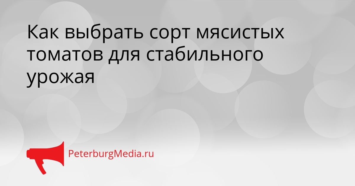Как выбрать сорт мясистых томатов для стабильного урожая Сгенерировано