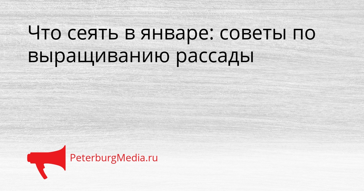 Что сеять в январе: советы по выращиванию рассады Сгенерировано