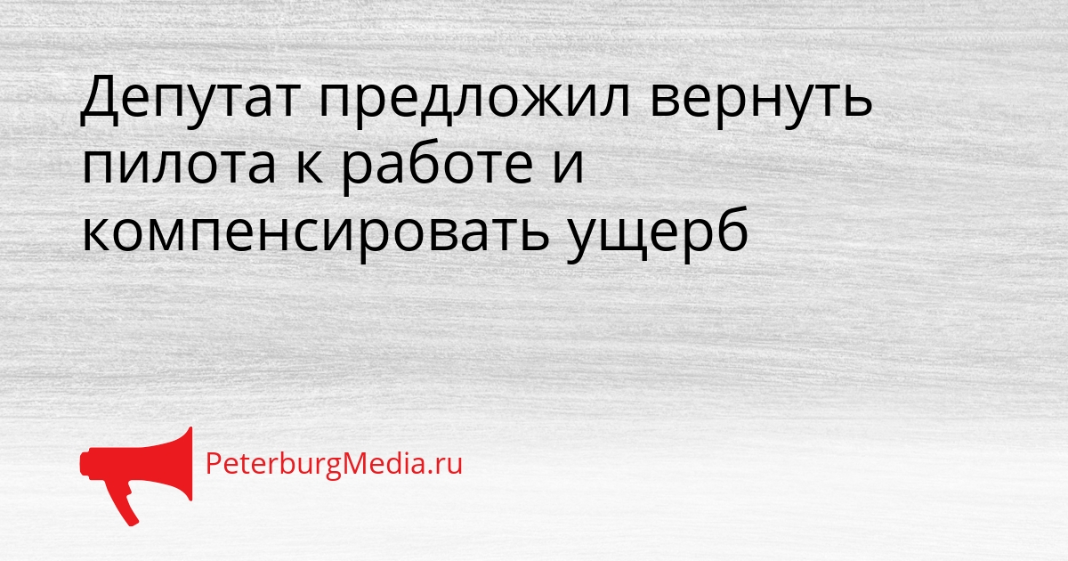 Депутат предложил вернуть пилота к работе и компенсировать ущерб Сгенерировано