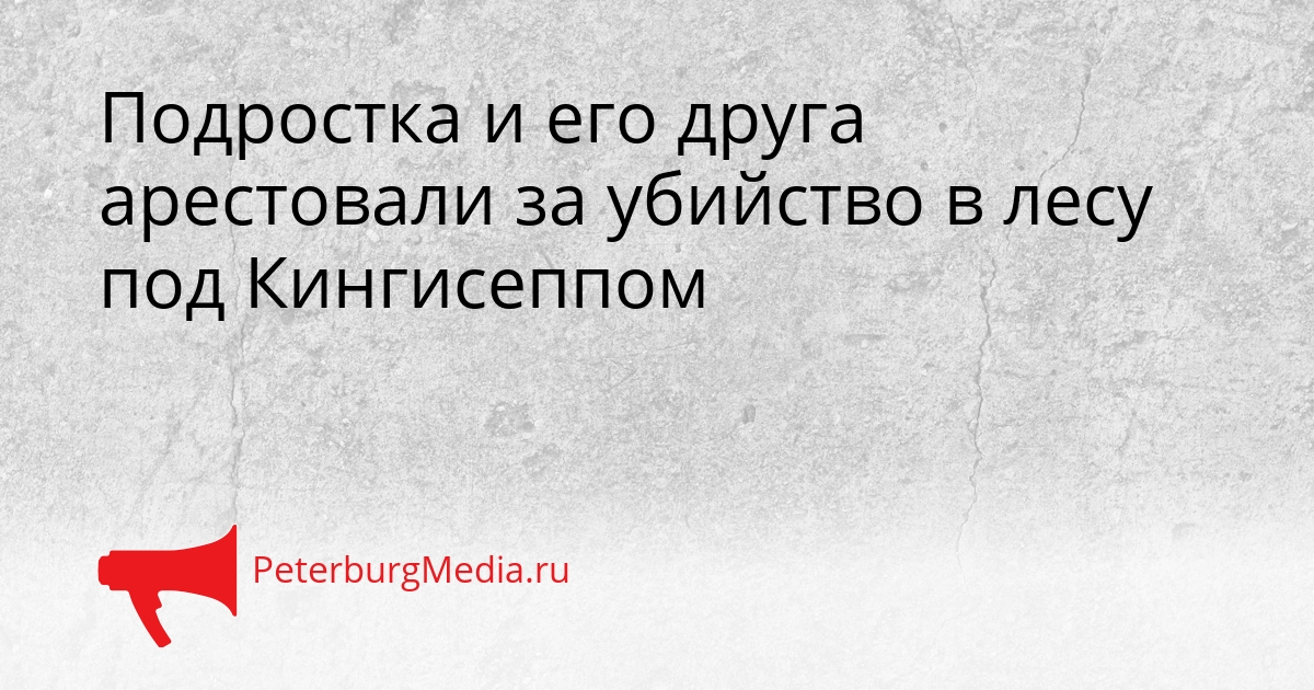Подростка и его друга арестовали за убийство в лесу под Кингисеппом Сгенерировано