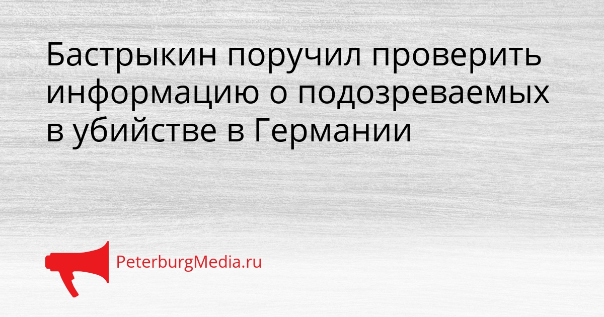 Бастрыкин поручил проверить информацию о подозреваемых в убийстве в Германии Сгенерировано