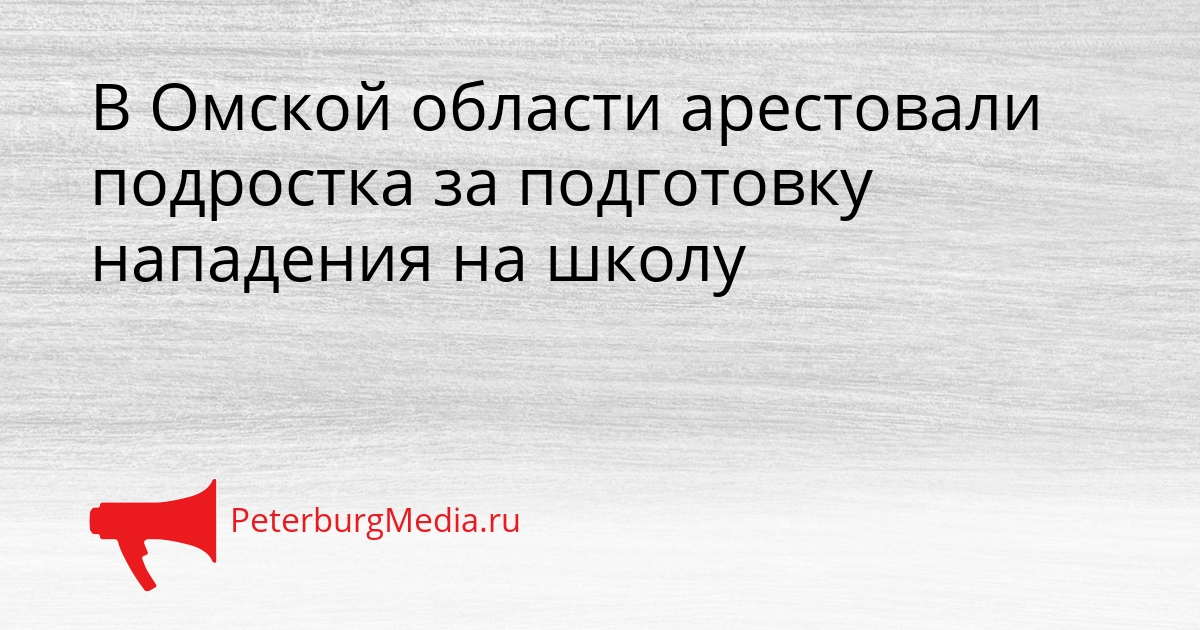 В Омской области арестовали подростка за подготовку нападения на школу Сгенерировано