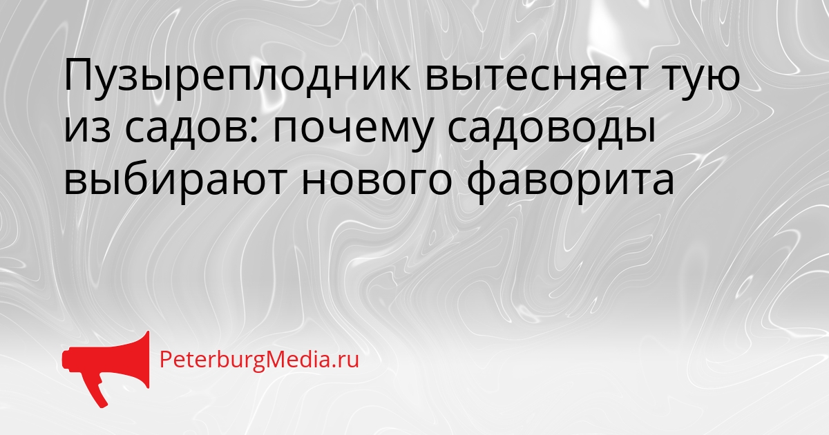 Пузыреплодник вытесняет тую из садов: почему садоводы выбирают нового фаворита Сгенерировано