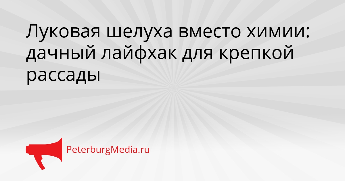 Луковая шелуха вместо химии: дачный лайфхак для крепкой рассады Сгенерировано