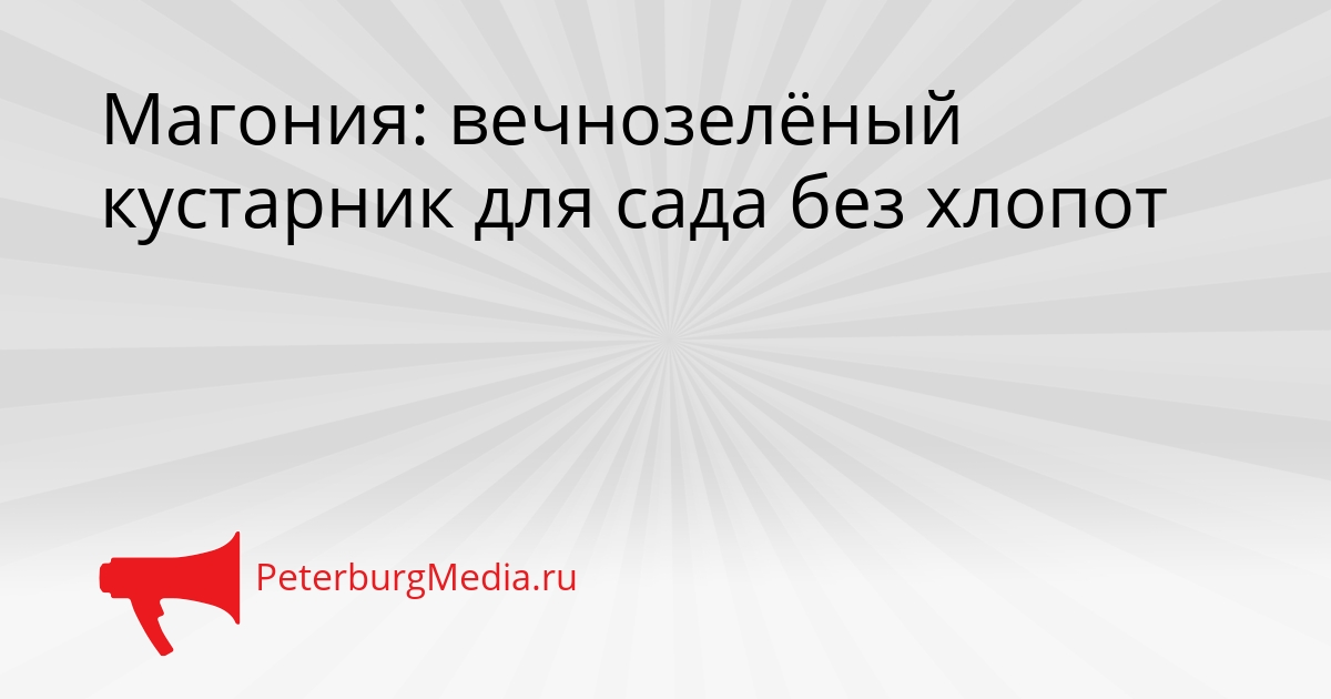 Магония: вечнозелёный кустарник для сада без хлопот Сгенерировано