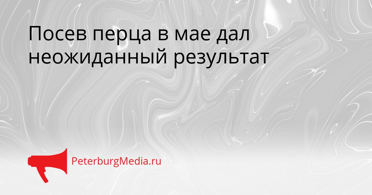 Посев перца в мае дал неожиданный результат Сгенерировано