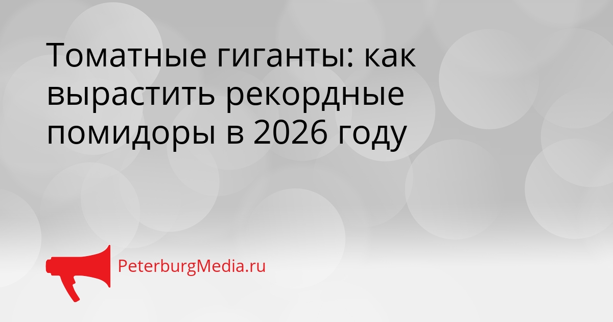 Томатные гиганты: как вырастить рекордные помидоры в 2026 году Сгенерировано