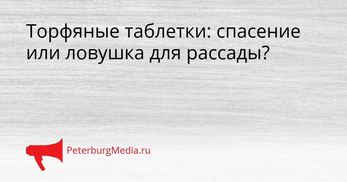 Торфяные таблетки: спасение или ловушка для рассады? Сгенерировано