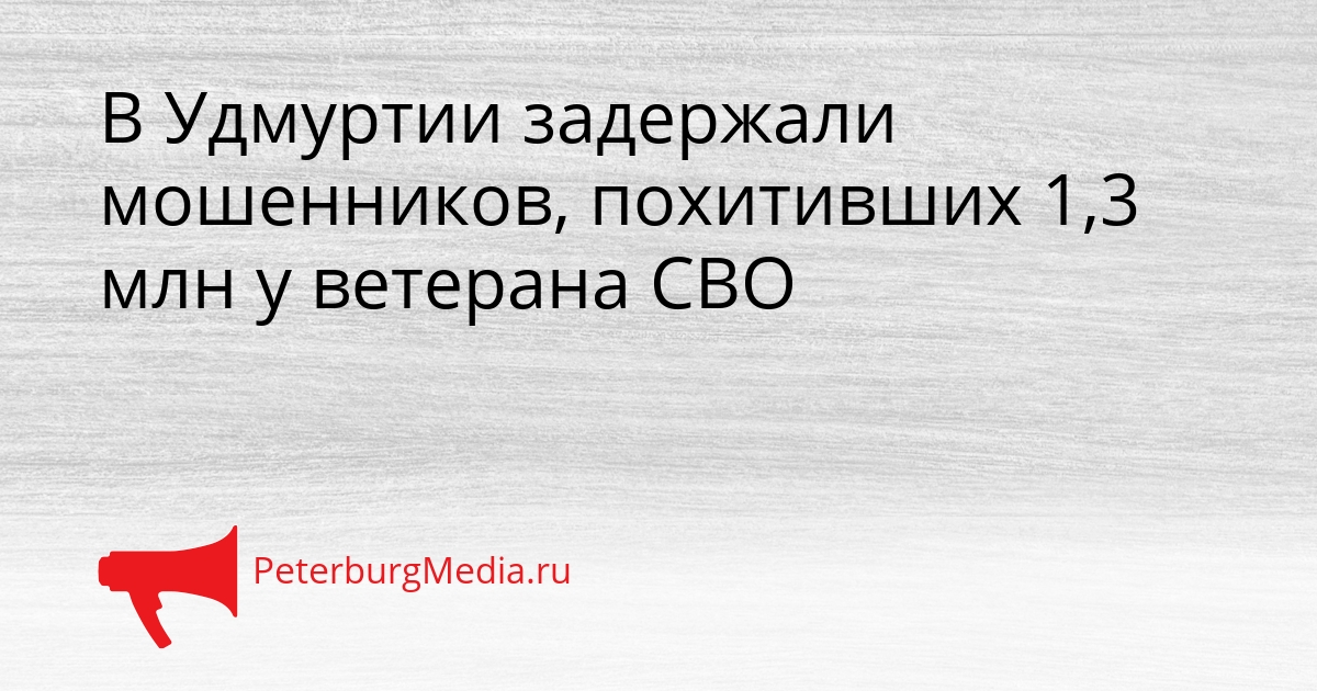 В Удмуртии задержали мошенников, похитивших 1,3 млн у ветерана СВО Сгенерировано