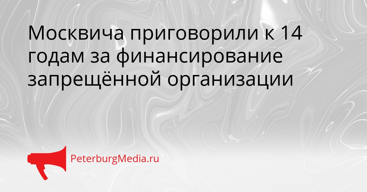 Москвича приговорили к 14 годам за финансирование запрещённой организации Сгенерировано