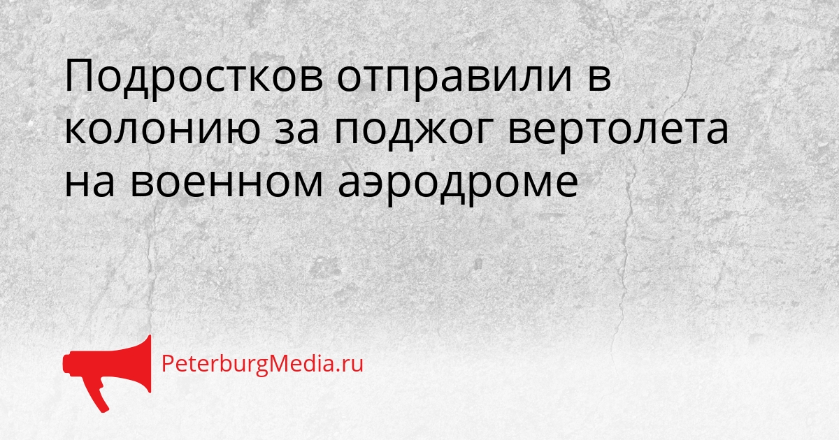 Подростков отправили в колонию за поджог вертолета на военном аэродроме Сгенерировано