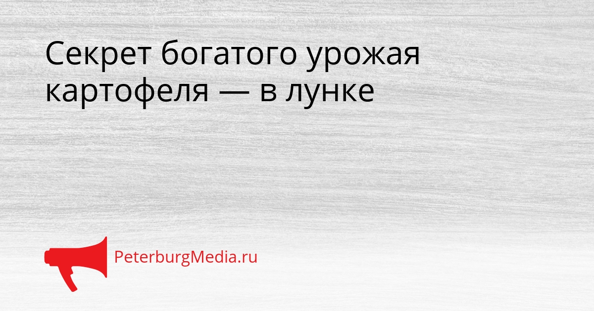 Секрет богатого урожая картофеля — в лунке Сгенерировано