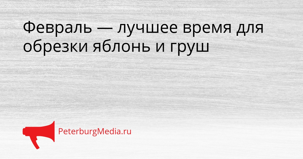 Февраль — лучшее время для обрезки яблонь и груш Сгенерировано