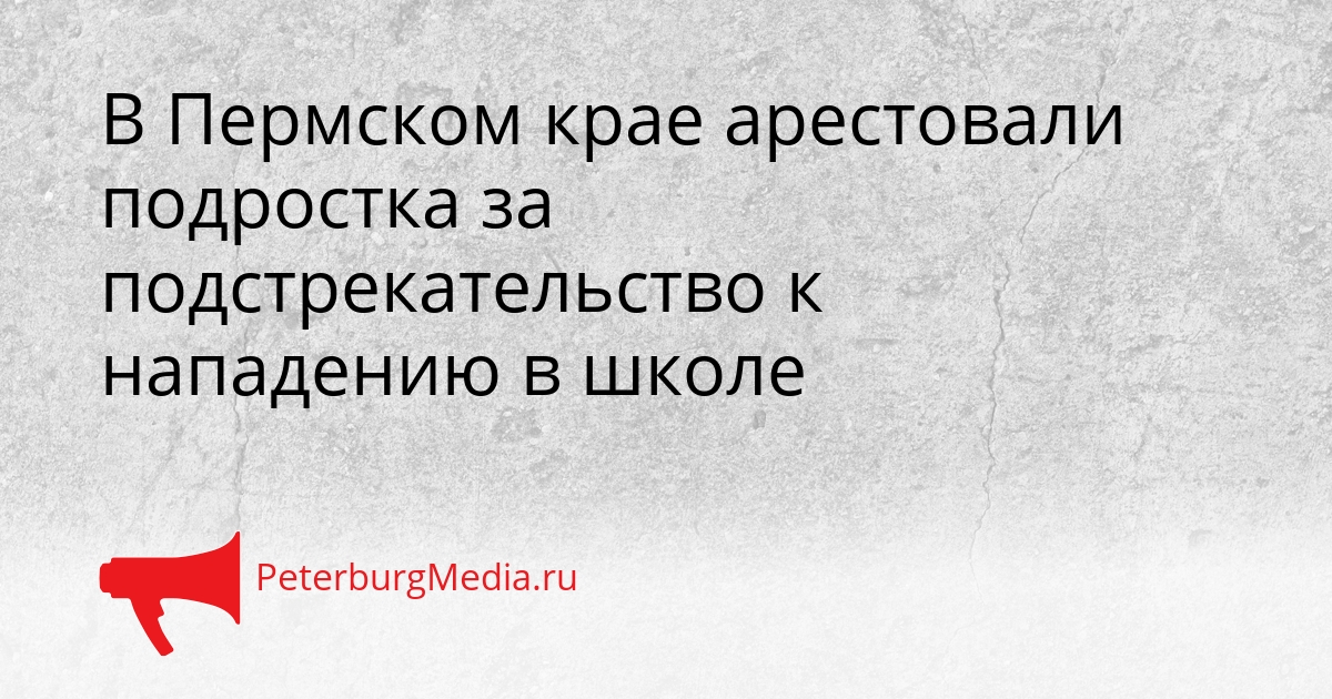 В Пермском крае арестовали подростка за подстрекательство к нападению в школе Сгенерировано