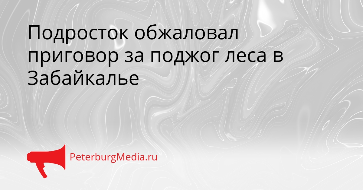 Подросток обжаловал приговор за поджог леса в Забайкалье Сгенерировано