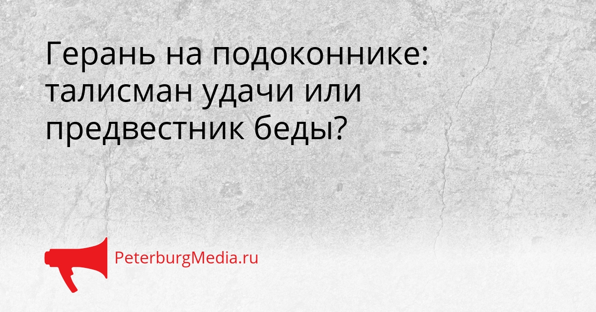 Герань на подоконнике: талисман удачи или предвестник беды? Сгенерировано