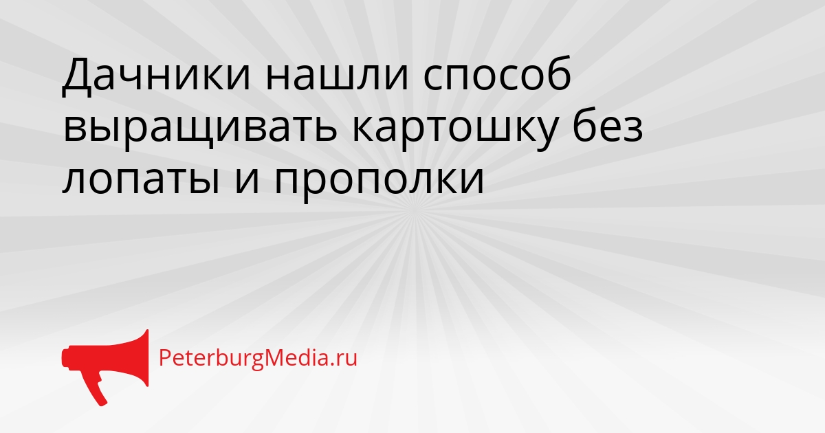 Дачники нашли способ выращивать картошку без лопаты и прополки Сгенерировано
