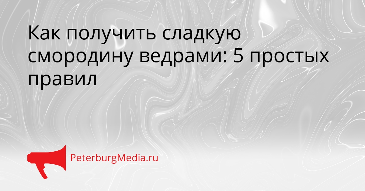 Как получить сладкую смородину ведрами: 5 простых правил Сгенерировано