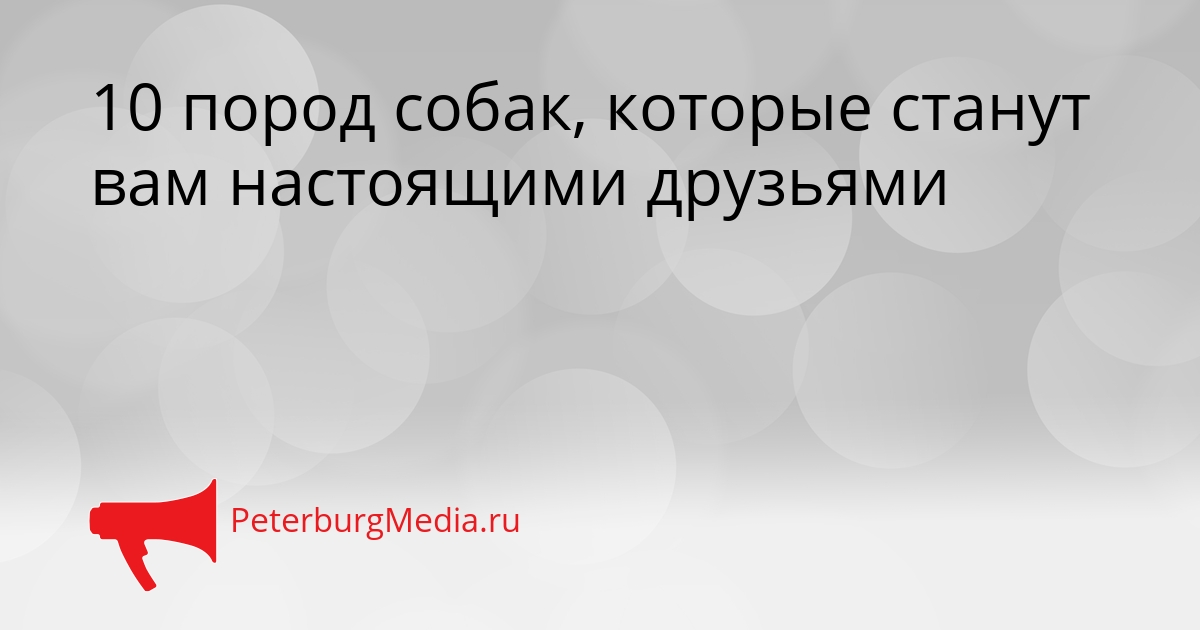 10 пород собак, которые станут вам настоящими друзьями Сгенерировано