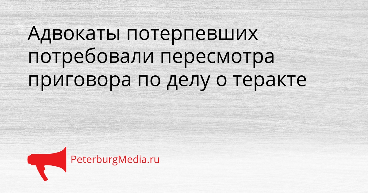 Адвокаты потерпевших потребовали пересмотра приговора по делу о теракте Сгенерировано