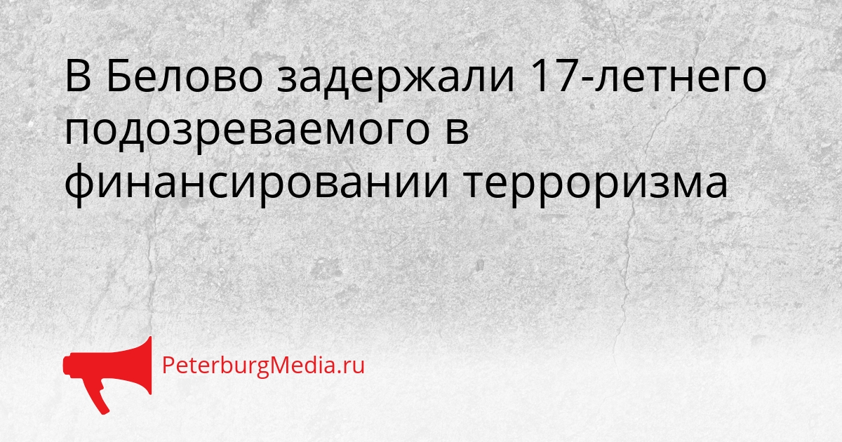 В Белово задержали 17-летнего подозреваемого в финансировании терроризма Сгенерировано