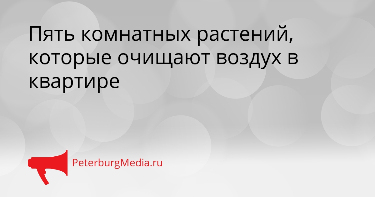 Пять комнатных растений, которые очищают воздух в квартире Сгенерировано