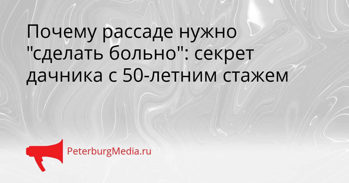 Почему рассаде нужно &quotсделать больно&quot: секрет дачника с 50-летним стажем Сгенерировано