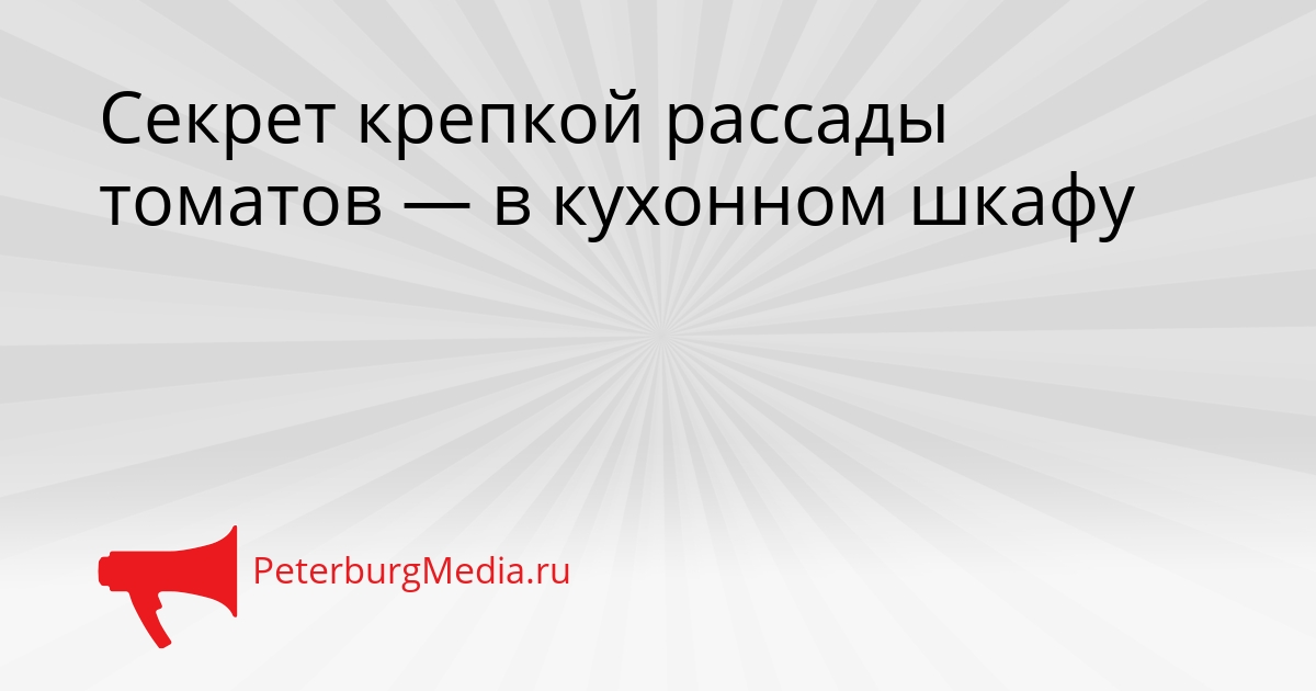 Секрет крепкой рассады томатов — в кухонном шкафу Сгенерировано