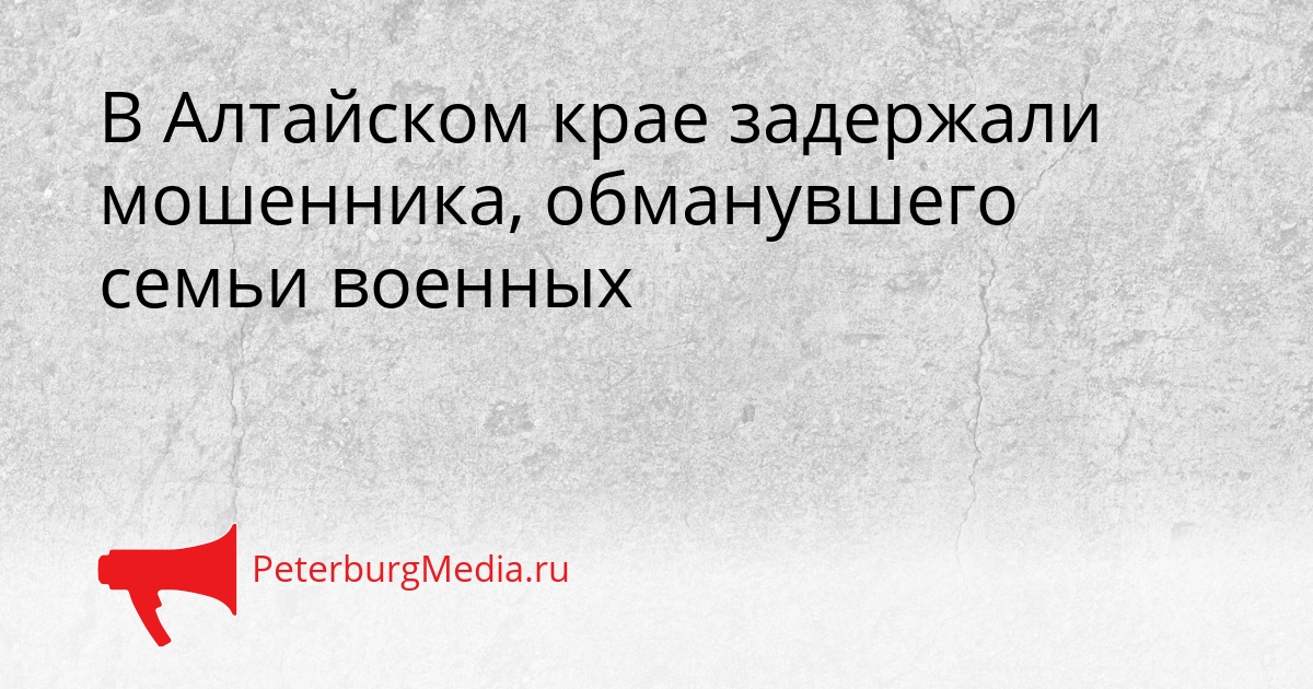 В Алтайском крае задержали мошенника, обманувшего семьи военных Сгенерировано
