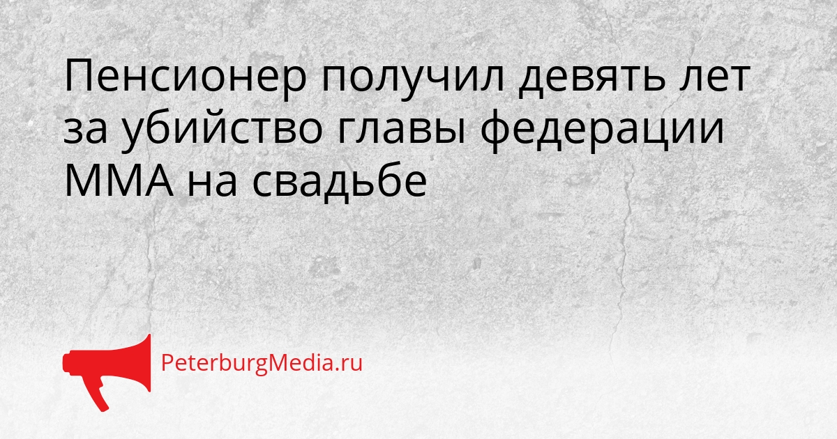 Пенсионер получил девять лет за убийство главы федерации ММА на свадьбе Сгенерировано