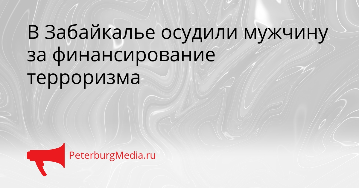 В Забайкалье осудили мужчину за финансирование терроризма Сгенерировано