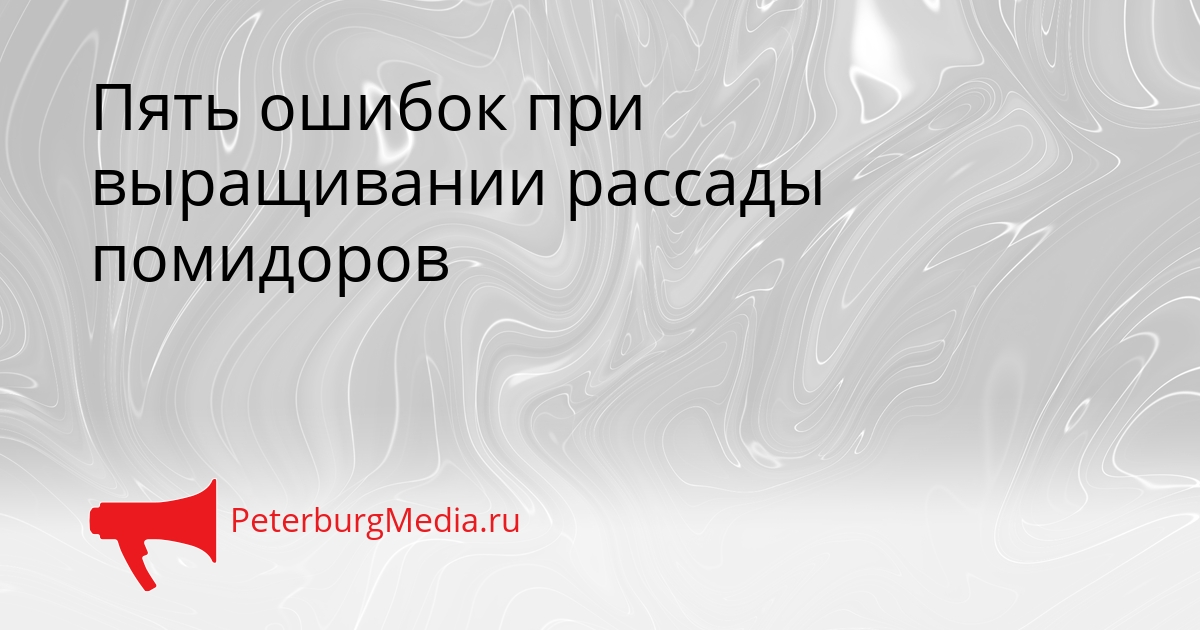 Пять ошибок при выращивании рассады помидоров Сгенерировано