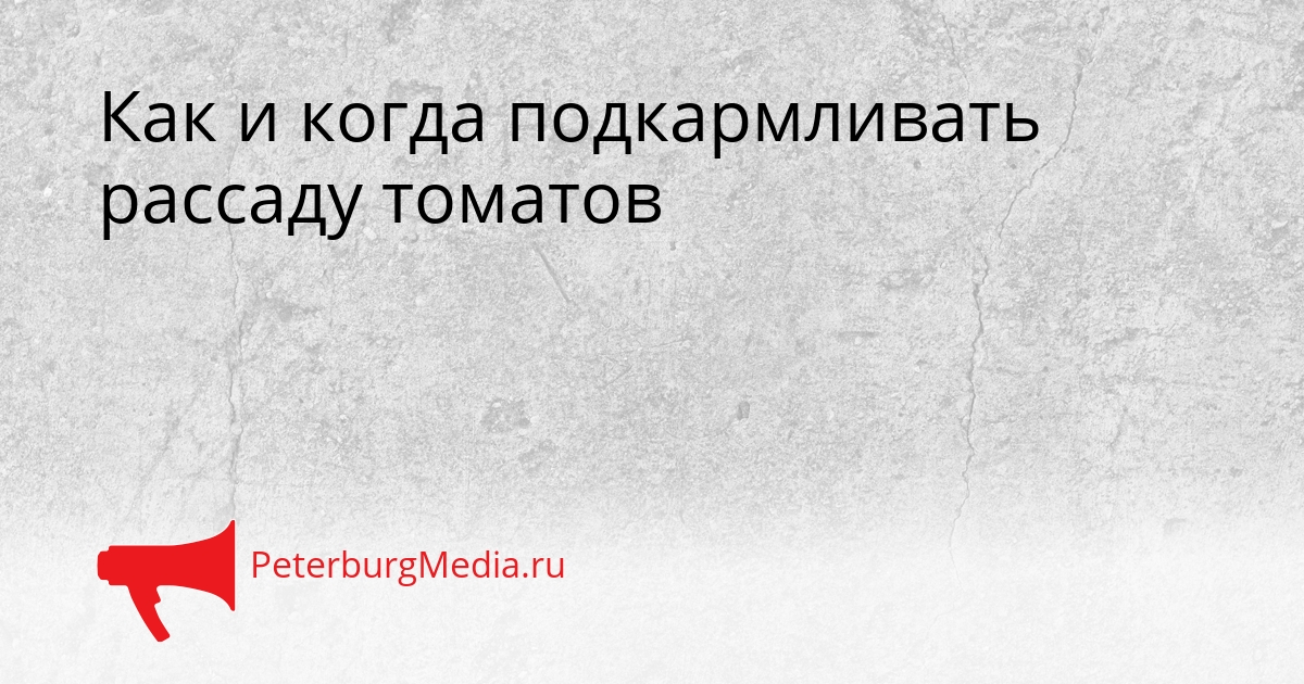 Как и когда подкармливать рассаду томатов Сгенерировано