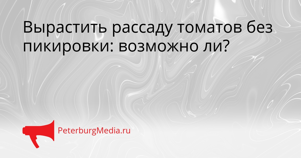 Вырастить рассаду томатов без пикировки: возможно ли? Сгенерировано